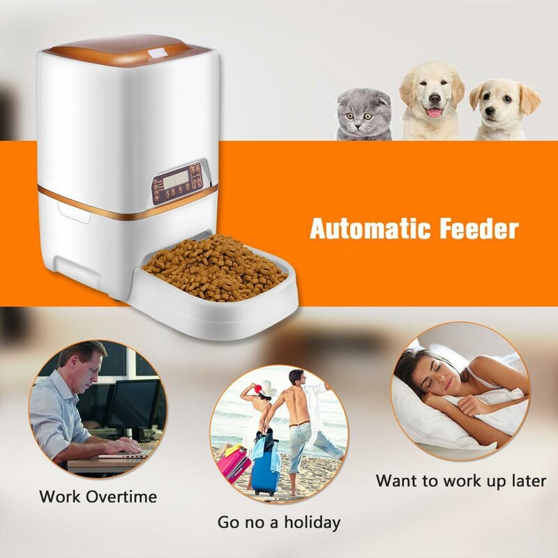 automatic feeder timer