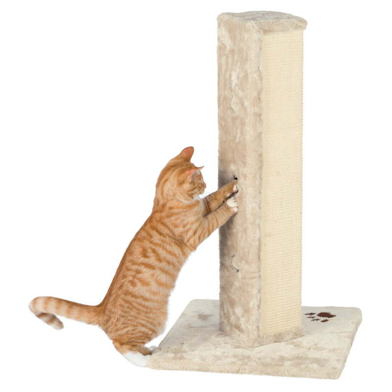 wayfair scratching post