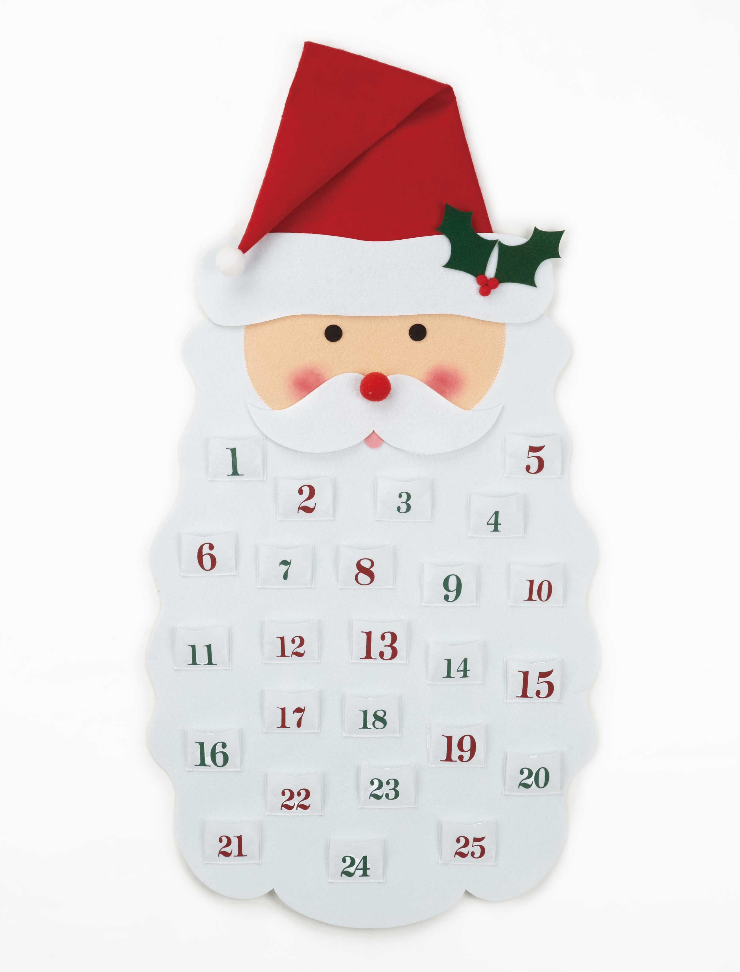 The Holiday Aisle® Santa Claus Holiday Advent Calendar & Reviews | Wayfair