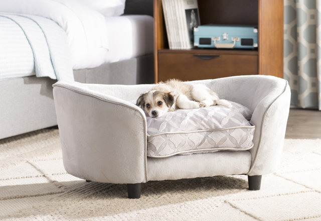 Just Added: Pet Furniture