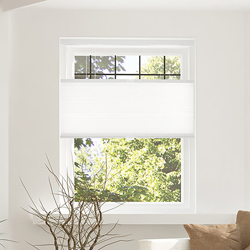 Chicology Custom Cordless Semi Sheer Cellular Shade Reviews Wayfair