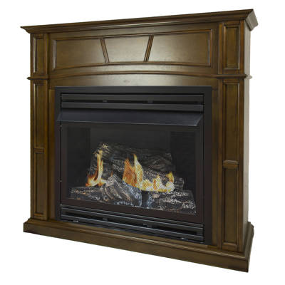 Ashley Hearth Vent Free Propane Fireplace Insert Wayfair