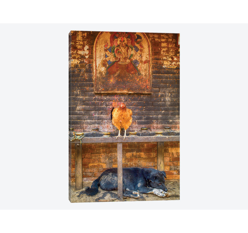 East Urban Home Bhaktapur Nepal Ganesh Hen And Sleeping Dog