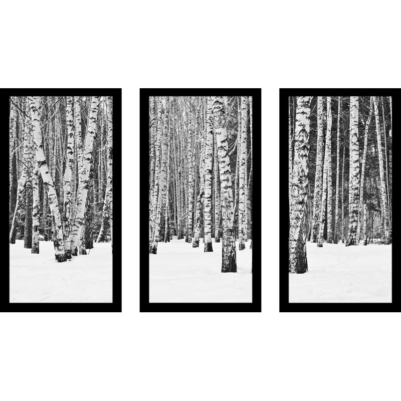Pictureperfectinternational Birch Trees In Winter 3 Piece Framed