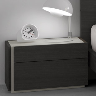 Go to store & view more images Comet 2 Drawer Nightstand by Brayden Studio