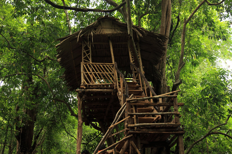 Tree House in the Forest by Ajijchan - Wrapped Canvas Photograph Size: 20" H x 30" W