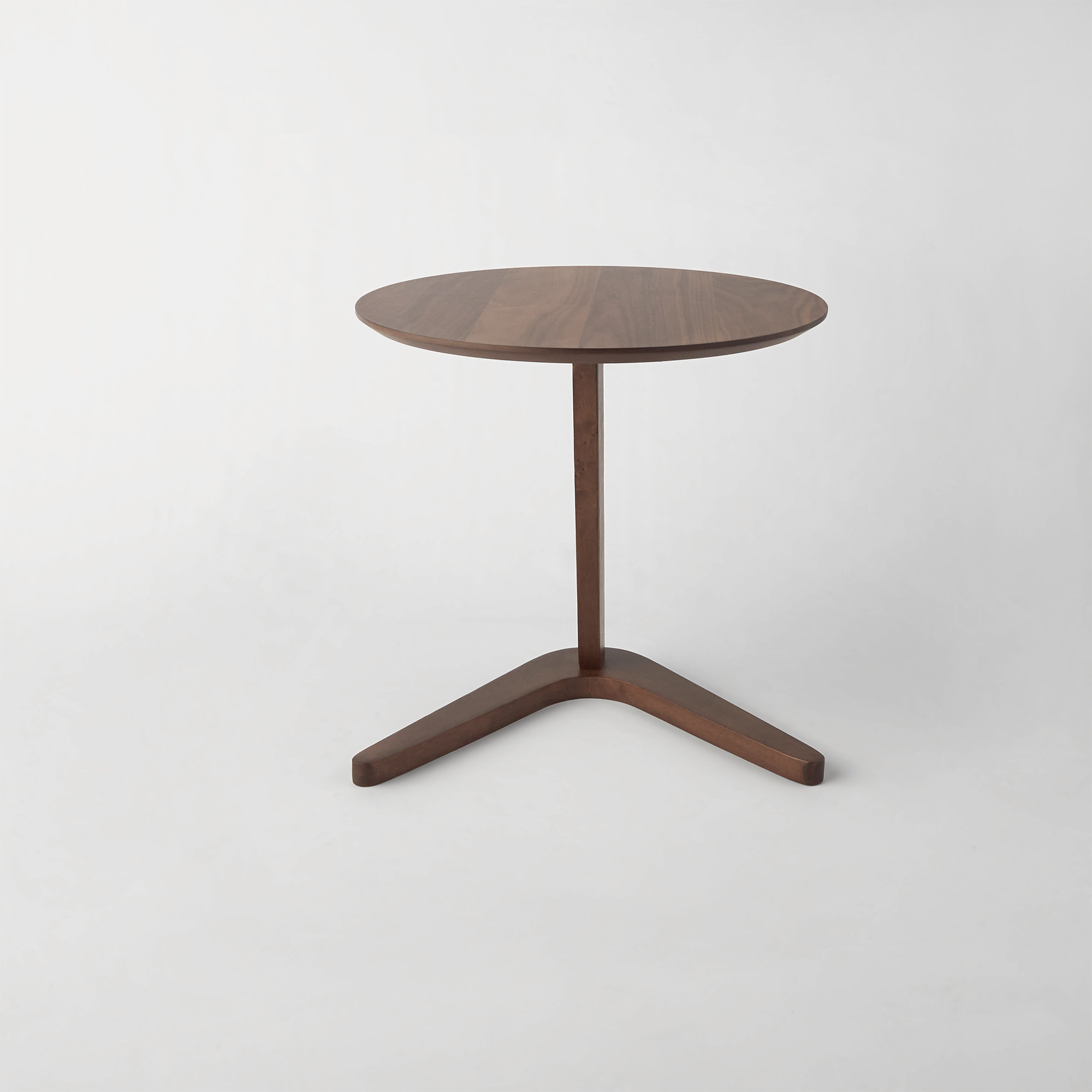 Healey End Table & Reviews AllModern