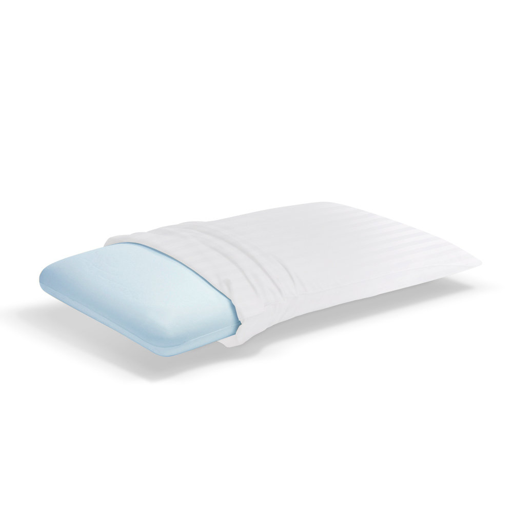 Sleep Innovations Classic Memory Foam Pillow & Reviews Wayfair