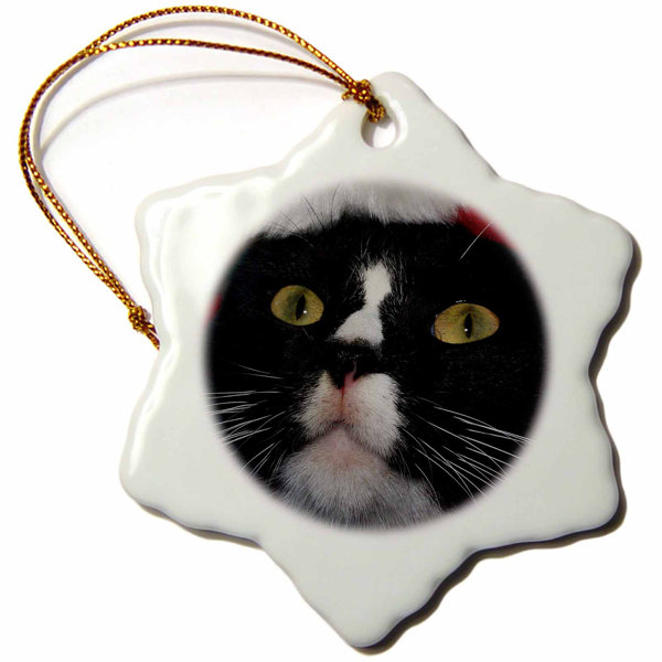 The Holiday Aisle Tuxedo Cat Wearing Santa Hat Snowflake Holiday
