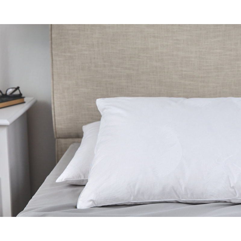 Alwyn Home Archibald Soft Down And Feather Standard Pillow
