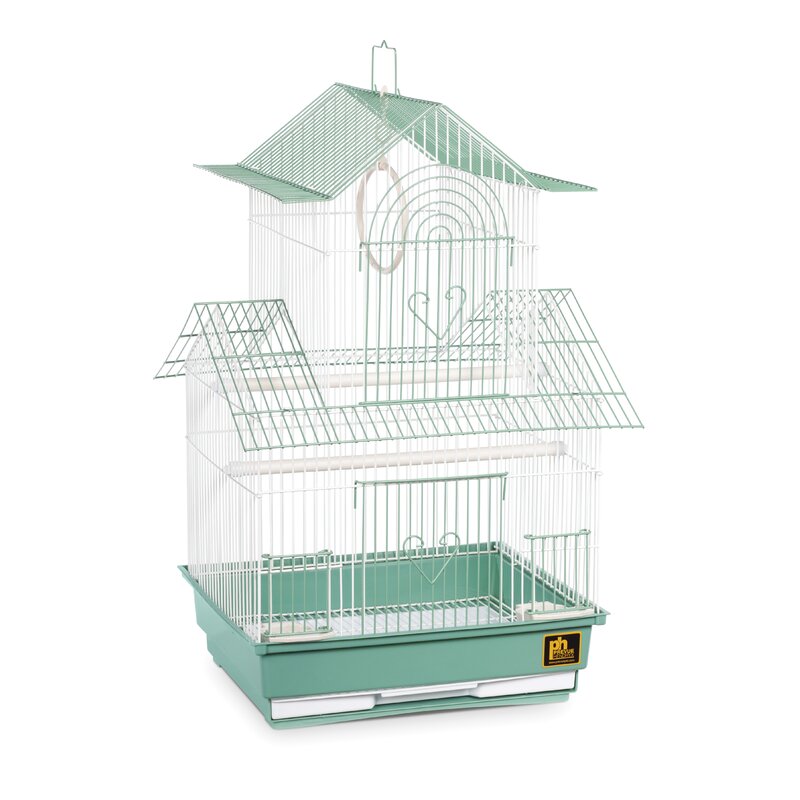 small cheap bird cages