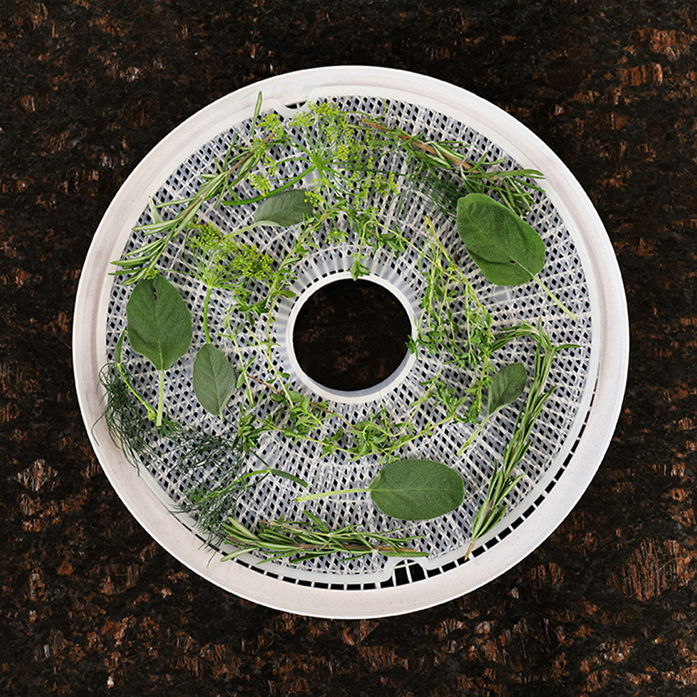 Nesco Clean AScreen® For 4 Tray 500Watt Food Dehydrator & Reviews