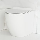 Water Ridge Toilet Wayfair