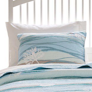 Draps Et Taies D Oreiller Taille Tres Grand Draps Et Taies D Oreiller Taille Tres Grand Draps Et Taies D Oreiller Taille Tres Grand Lot De 2 Les Taies D Oreillers