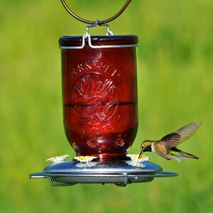 Mason Jar Glass Hummingbird Feeder