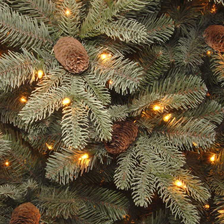 The Holiday Aisle Frosted Arctic 7 5 Green Spruce Artificial Christmas Tree With 750 Clear White Lights Reviews Wayfair