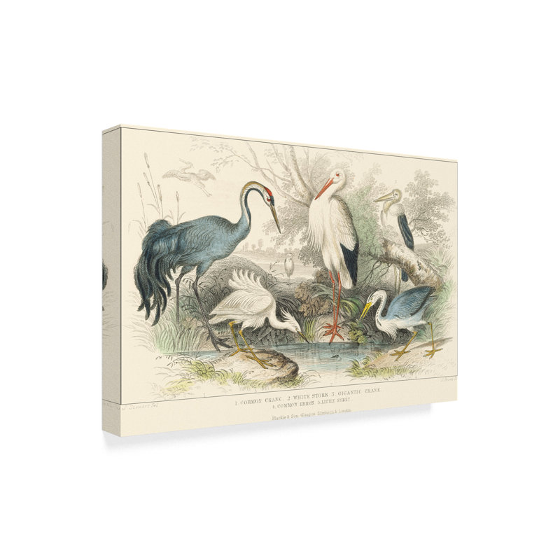 Highland Dunes Herons Egrets And Cranes Acrylic Painting Print