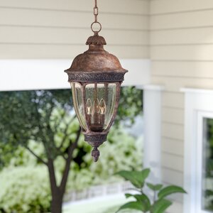 Diahann 3-Light Outdoor Hanging Lantern