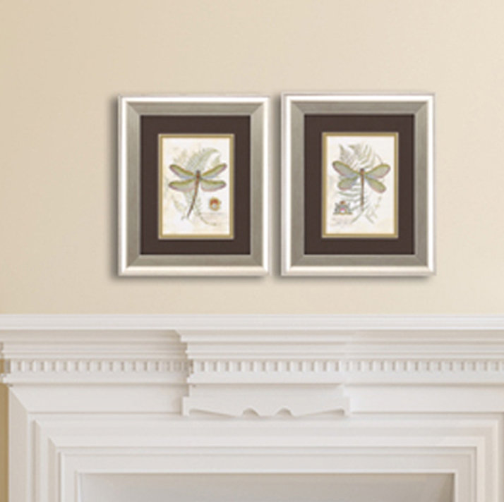 Dragonfly I And Ii 2 Piece Picture Frame Graphic Art Set On Canvas Reviews Birch Lane