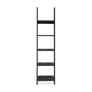 Go to store & view more images Ayotte Ladder Bookcase by Charlton Home