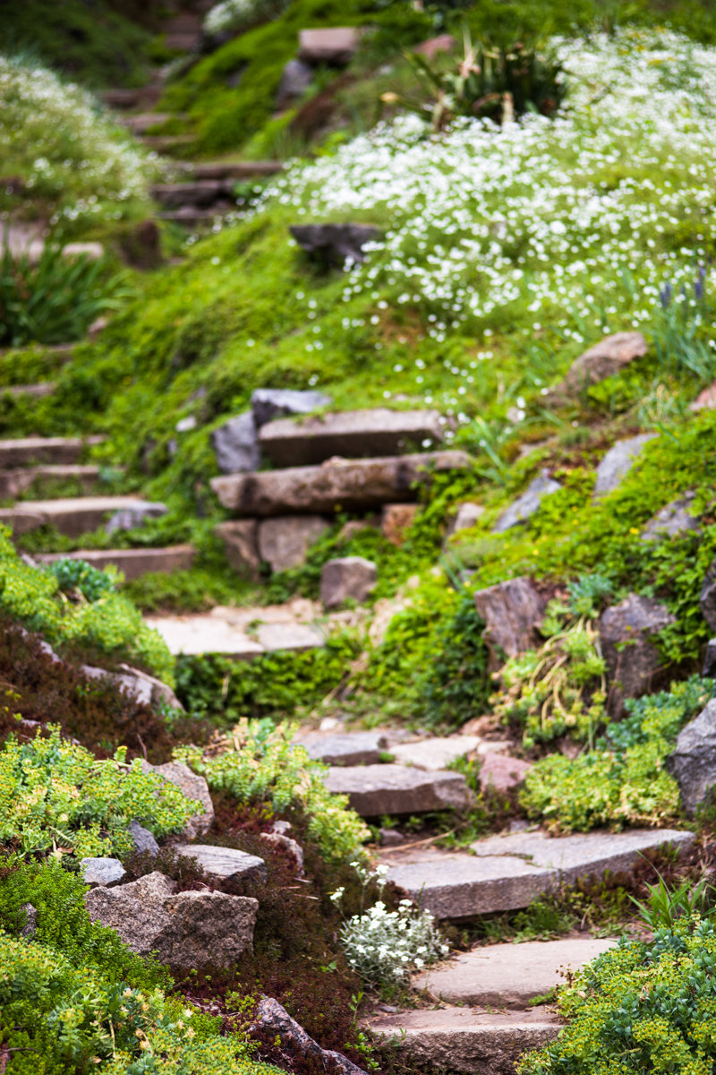 Stony Stairs in the Green Garden - Wrapped Canvas Photograph Size: 18" H x 12" W x 1.25" D