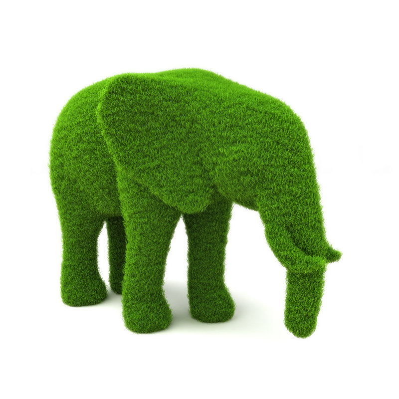 Elephant Hedge - Wrapped Canvas Graphic Art Size: 12" H x 12" W x 1.25"D