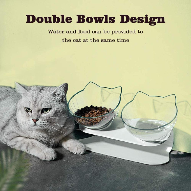 fancy cat bowl