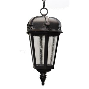 Kiss Series 1-Light Outdoor Hanging Lantern