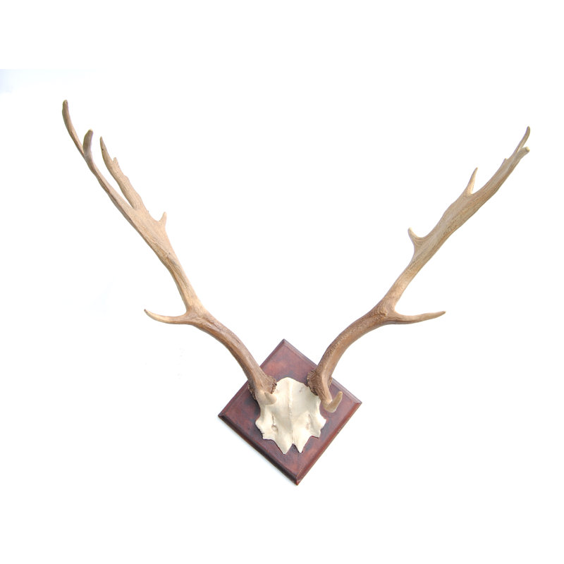 Millwood Pines Large Deer Antlers Wall Décor Wayfair Millwood Pines Large Deer Antlers Wall