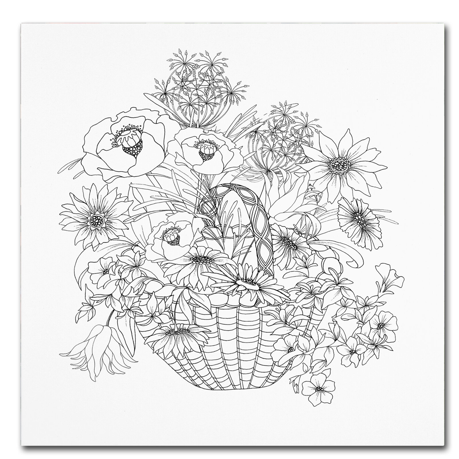 Trademark Art Flower Basket Drawing Print On Wrapped Canvas Wayfair Are you searching for flower basket png images or vector? flower basket drawing print on wrapped canvas