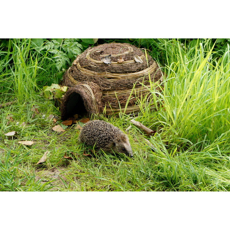 Garten Living Freistehendes Igelhaus Liseron | Wayfair.de