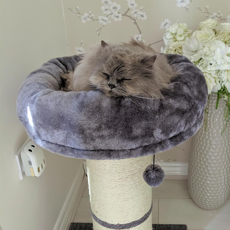jumbo cat scratching post
