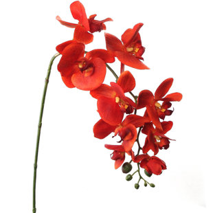 Orchid Stem Faux Flowers You Ll Love In 2021 Wayfair