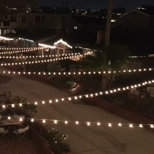 25-Light Globe String Lights