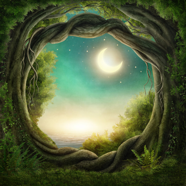 Designart Enchanted Dark Forest 4 Piece Wrapped Canvas Graphic