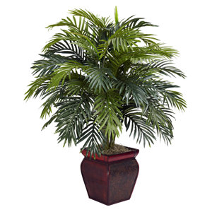 Areca Floor Plant in Decorative Pot