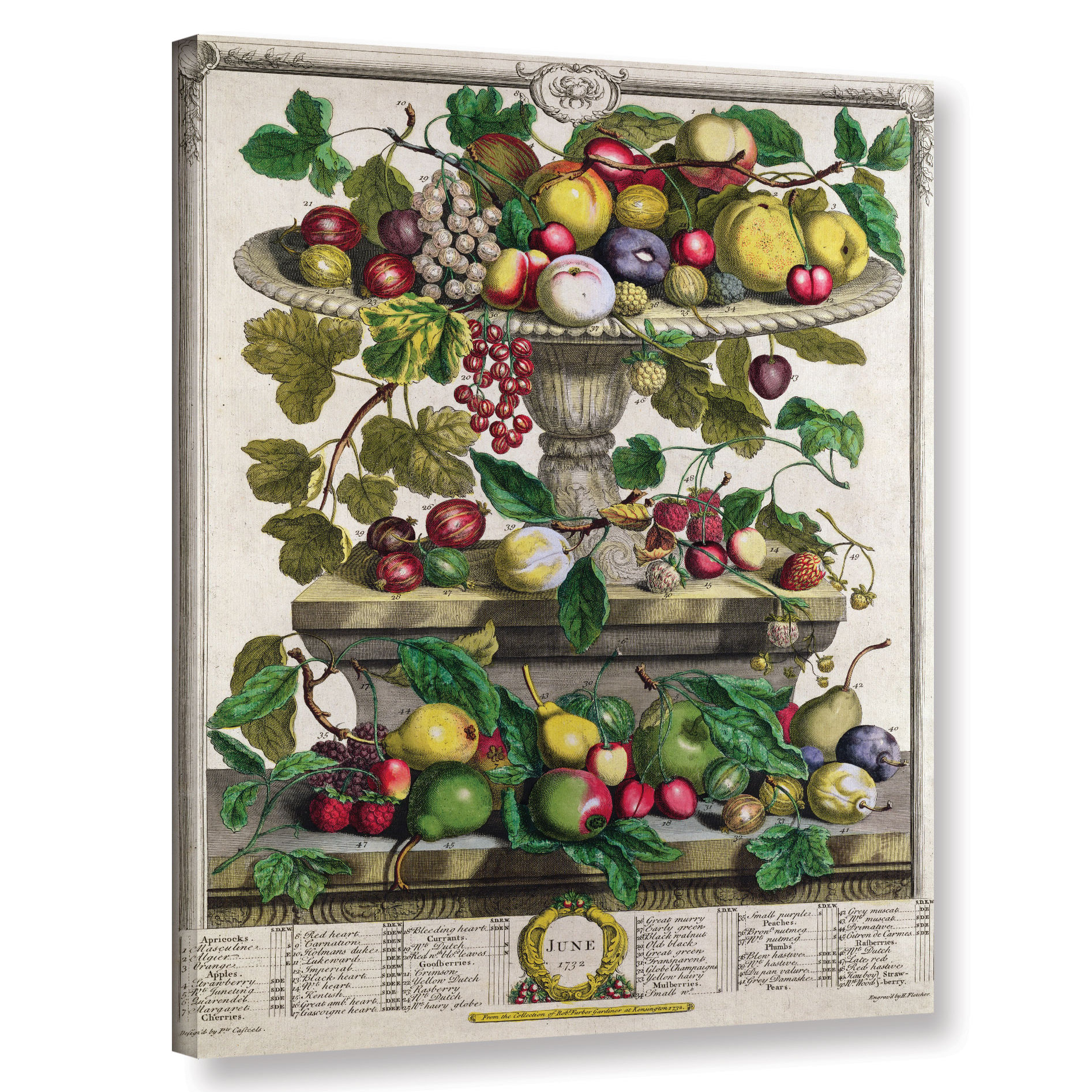 CARNATIONS AND APPLE BASKET LIGHT SWITCH PLATE COVER