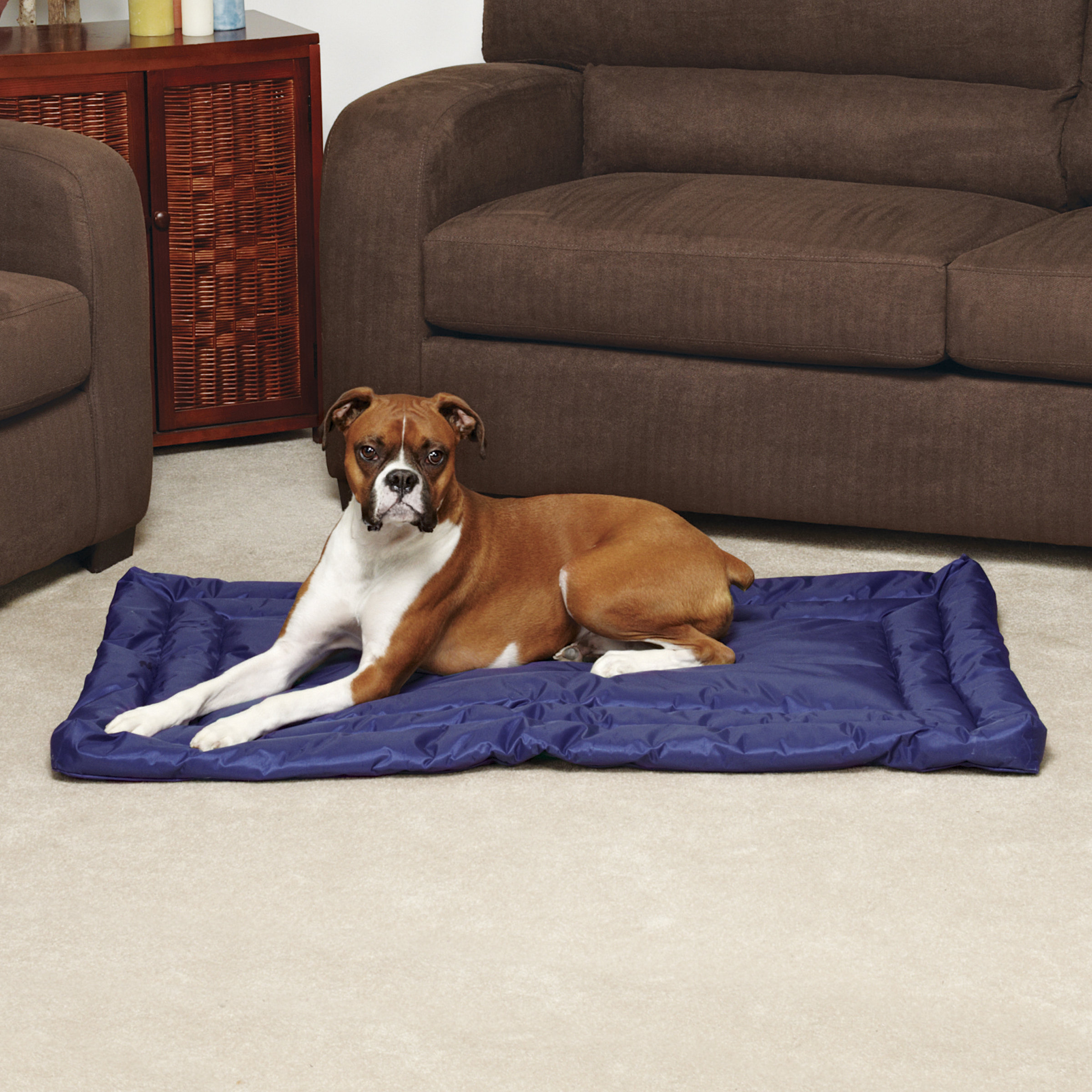 water resistant dog mat