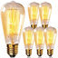 60 Watt, ST64 Incandescent, Dimmable Light Bulb, Warm Amber (2700K) E26/Medium (Standard) Base