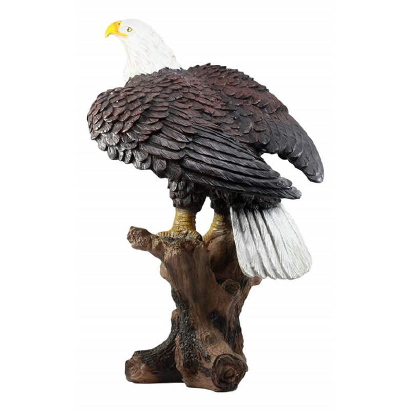 Millwood Pines Sedalia American Pride Bald Eagle Perching On Tree