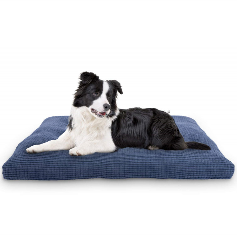 36 inch dog bed