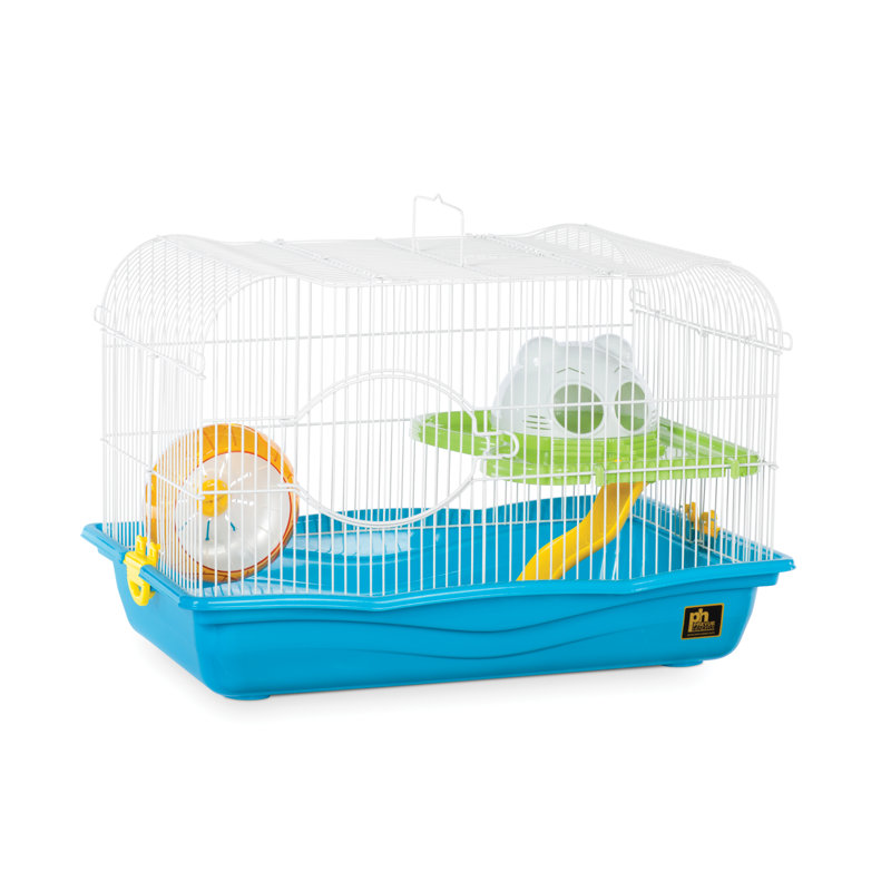wayfair hamster cage