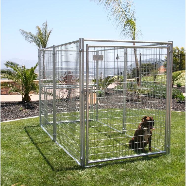 wayfair dog pen