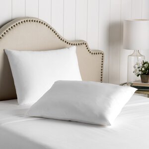 Wayfair Basics Waterproof Allergy and Bed Bug Pillow Protector (Set of 2)