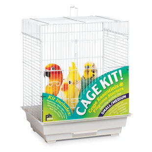 Bird Starter Kit Wayfair