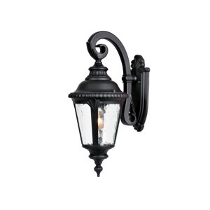 Appel 1-Light Outdoor Wall Lantern