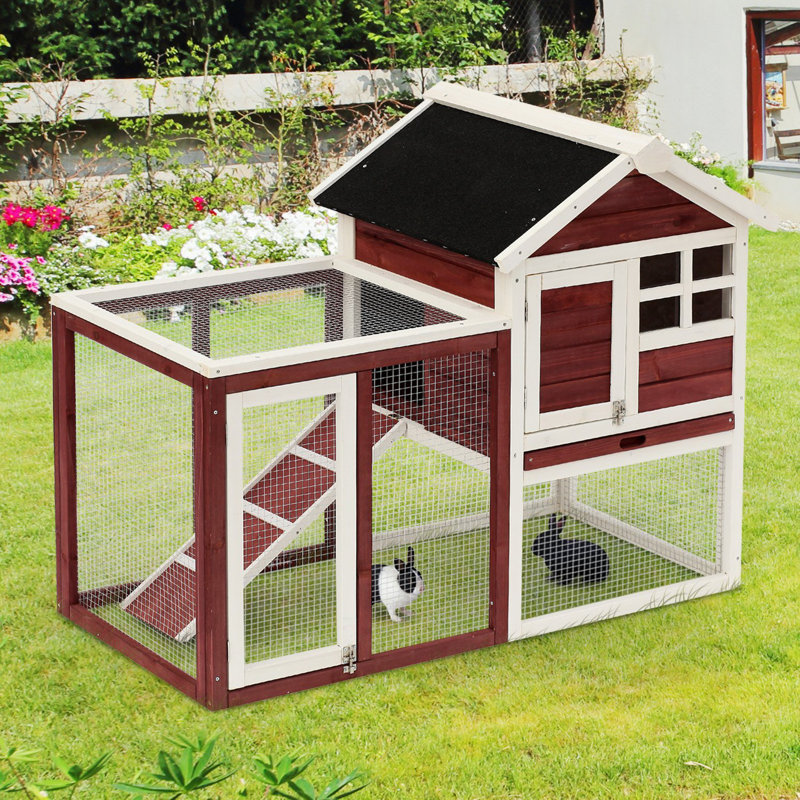 Tucker Murphy™ Pet Genebern Wooden Rabbit Hutch with Ladder and Outdoor Run & Reviews | Wayfair