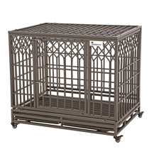 large pet crate