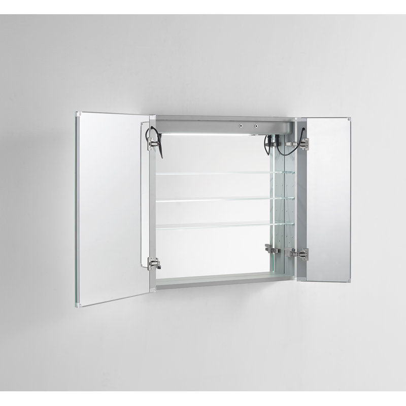 Orren Ellis Donnelly Recessed Or Surface Mount Frameless 2 Doors