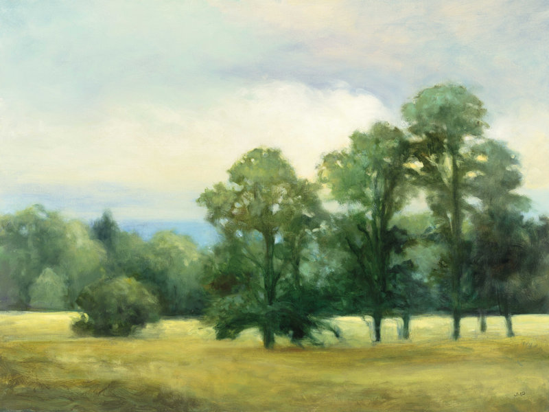 Valley Reverie by Julia Purinton - Print on Canvas Size: 18" H x 24" W